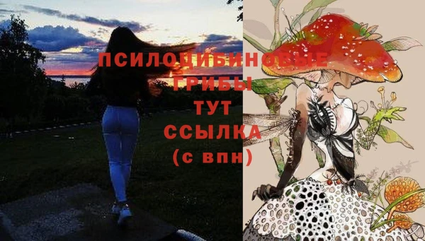 марки lsd Беломорск