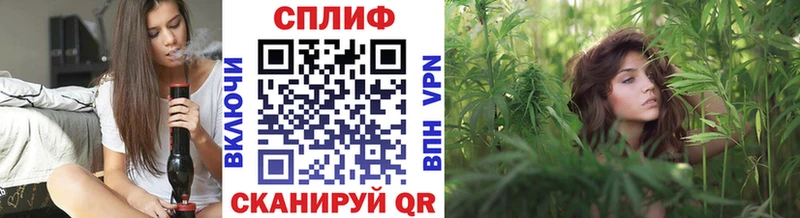 Каннабис планчик  Лесозаводск 